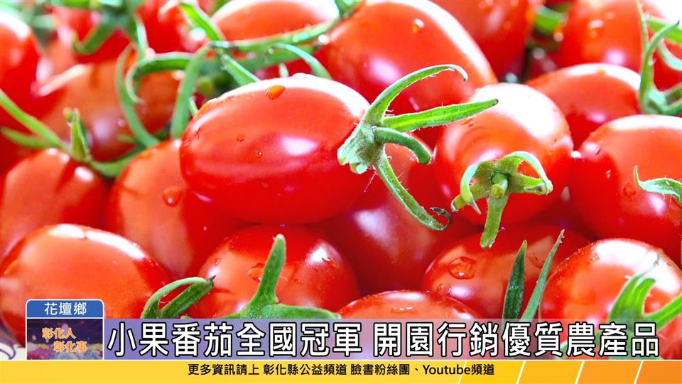 113-01-26 全國冠軍小果番茄在彰化 歡迎大家吃在地、享當季